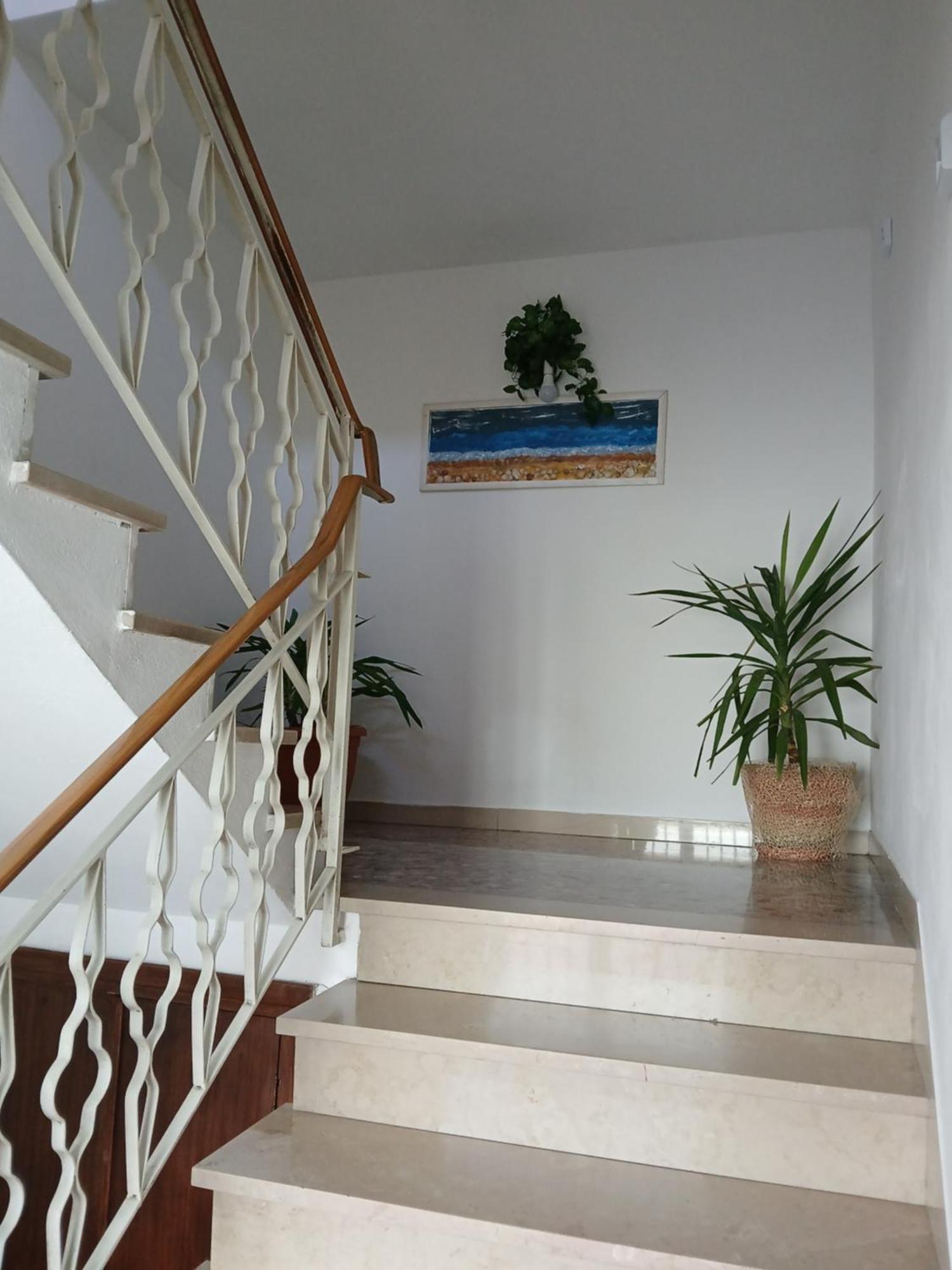 Casa Vacanza Le Due Stelle San Romano  Esterno foto